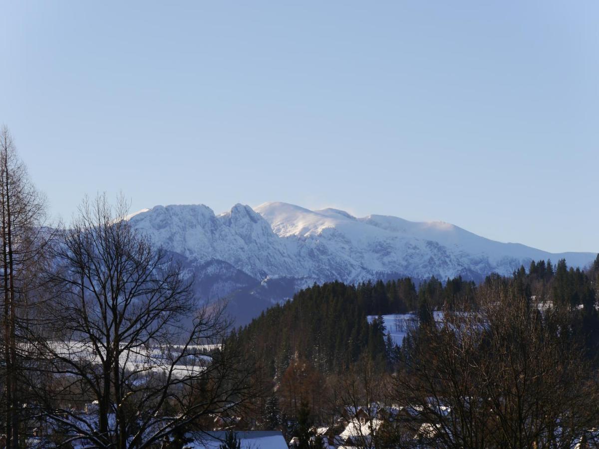 Domki Gorskie Widoki Villa Biały Dunajec Exteriör bild