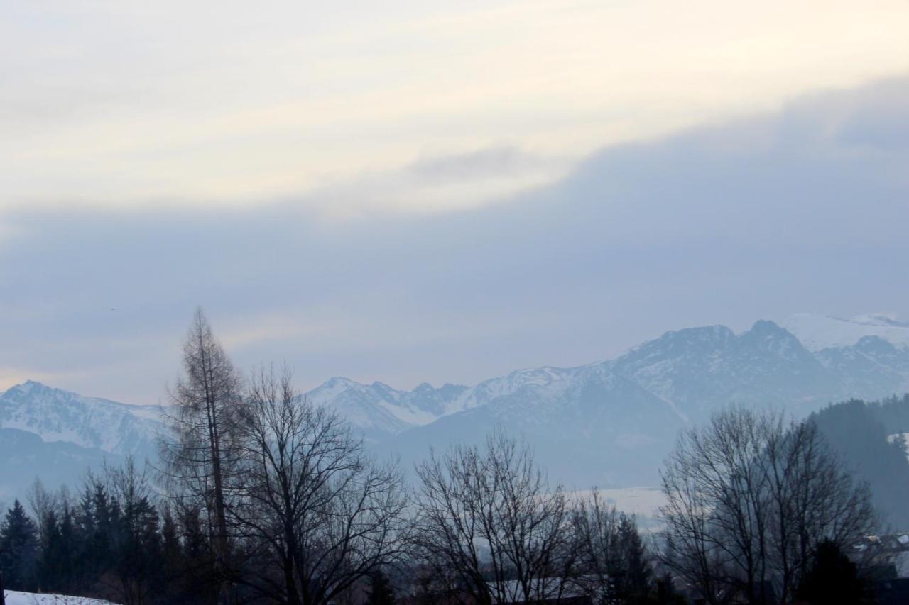 Domki Gorskie Widoki Villa Biały Dunajec Exteriör bild